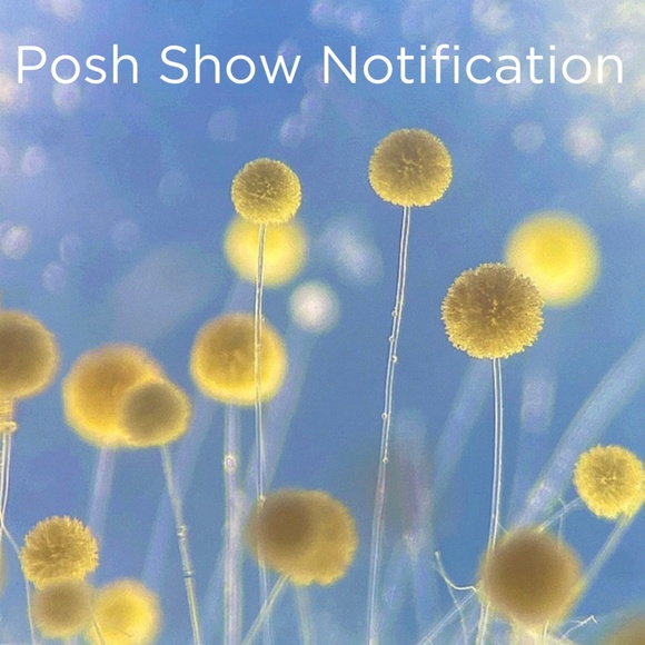 LIVE SHOW Notification - Picture 1 of 1